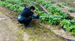 仙游县春季农耕即将开始，农民备耕忙，期待丰收年